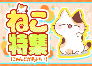 ねこ特集